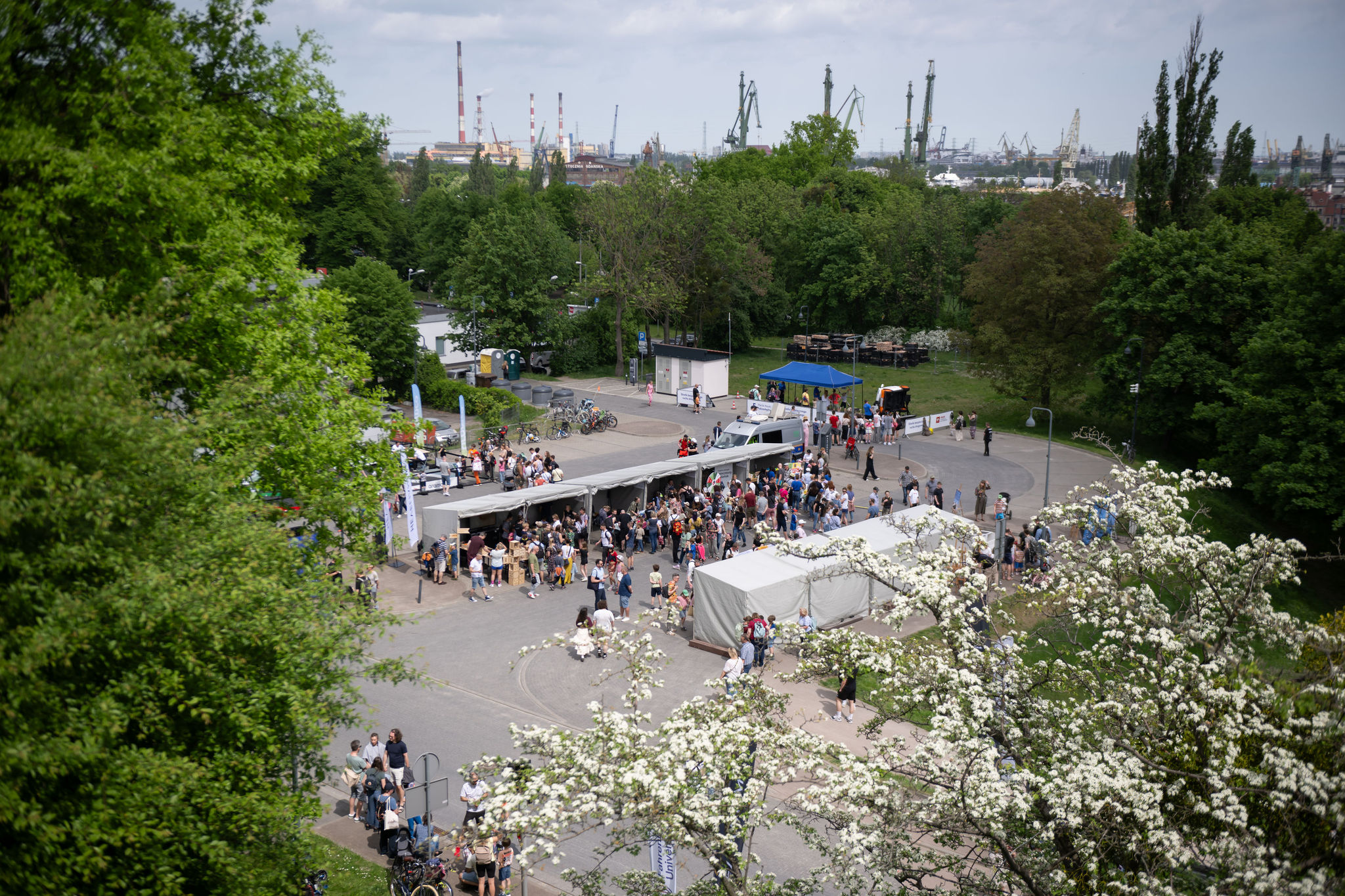 Dolny teren 5. Pikniku Nauki Fahrenheita